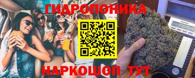 стаф Заволжье