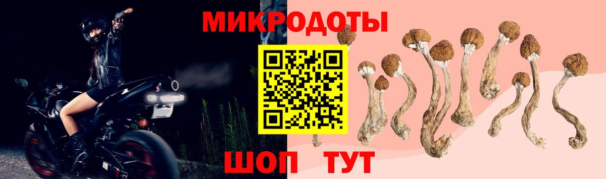 Псилоцибиновые грибы мицелий  Вход с VPN  Лянтор  Галлюциногенные грибы GOLDEN TEACHER 